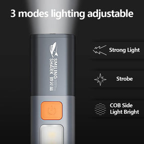 Strong light portable flashlight